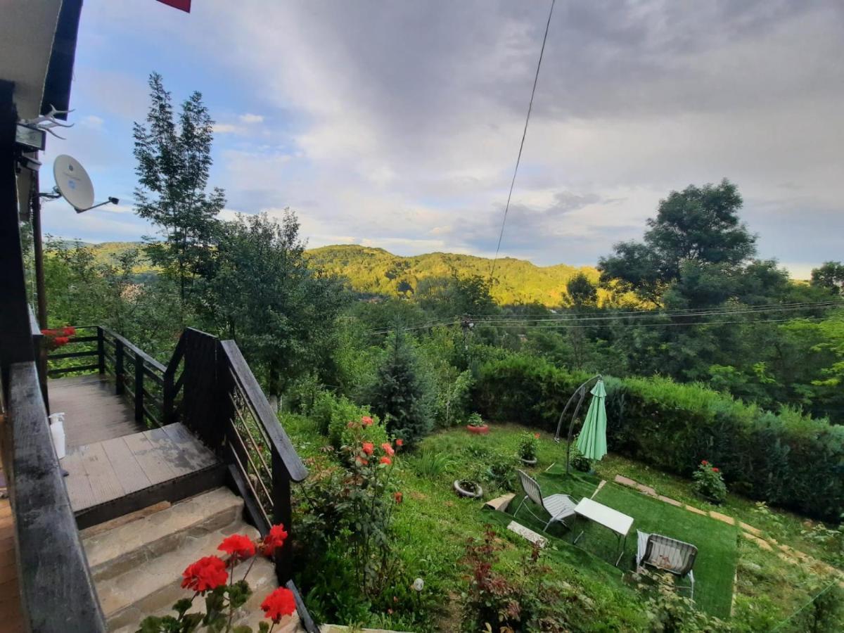 Hotel Casuta Cu Trandafiri Slănic Exterior foto