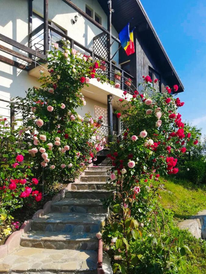 Hotel Casuta Cu Trandafiri Slănic Exterior foto