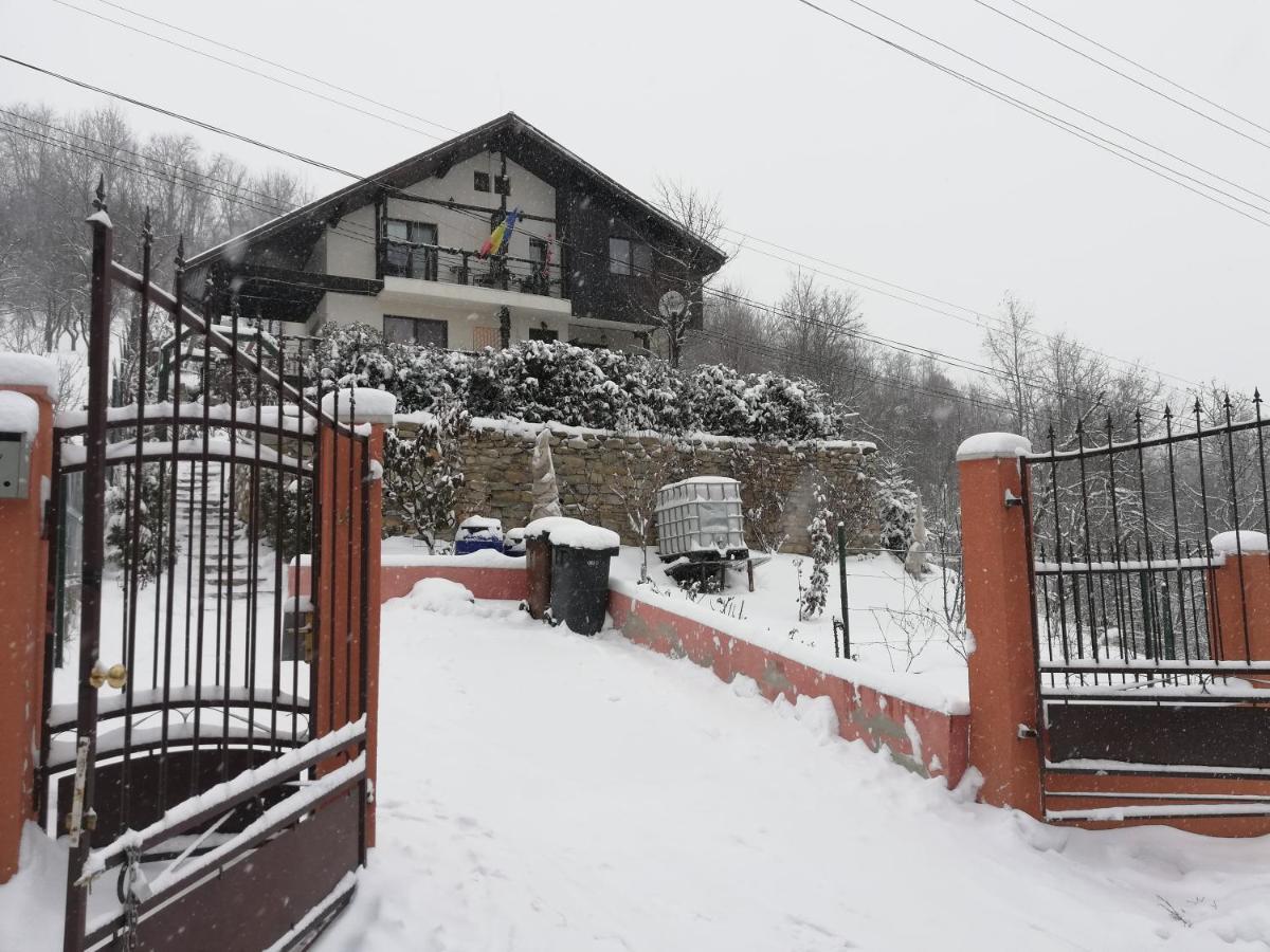 Hotel Casuta Cu Trandafiri Slănic Exterior foto